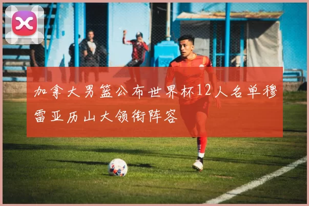 加拿大男篮公布世界杯12人名单穆雷亚历山大领衔阵容