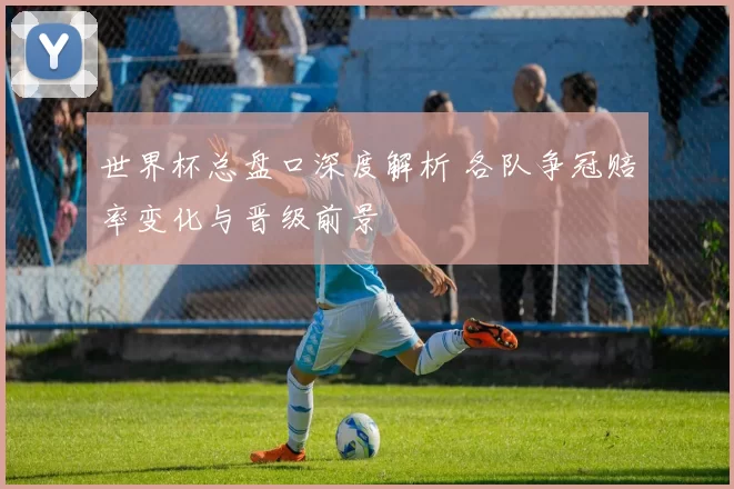 世界杯总盘口深度解析 各队争冠赔率变化与晋级前景