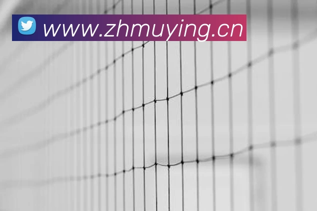 beat365在线登录官网入口 - beat365(中国)平台生态图